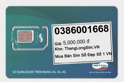 0386001668