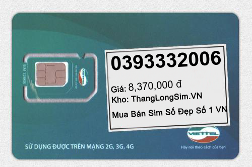 0393332006