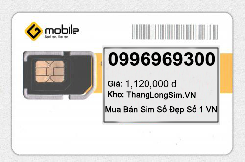 0996969300
